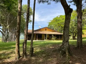Galeria 2